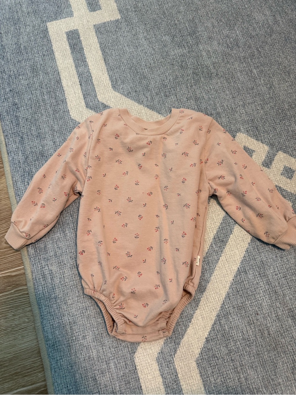 Soft Rose Floral Long-Sleeve Baby Bodysuit by